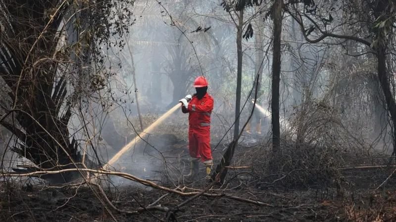 "Rakyat Sesak Napas!" DPR Desak Pemerintah Kerahkan Kekuatan Penuh Sikat Karhutla dan Kabut Asap