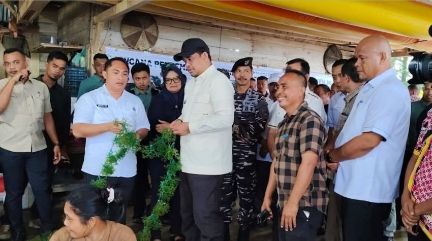 Rayu Investor Jepang, Bobby Nasution Jajakan Lobster Nias hingga Kirim Tenaga Kerja