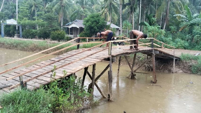 Akses Panen Petani Lancar Lagi! Kades Puji Langkah Bupati Tanjab Timur Rehab Jembatan Rusak