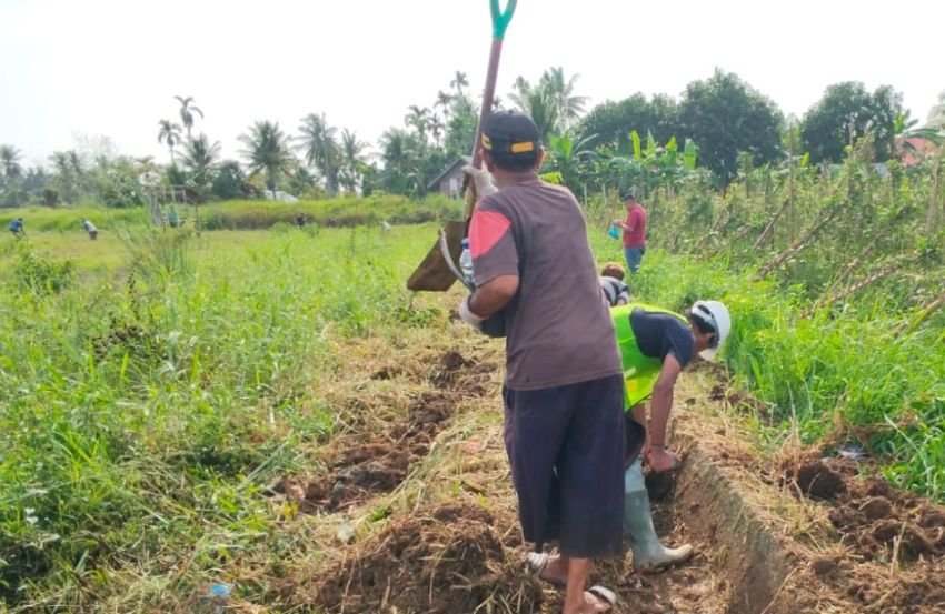 Kodim Bireuen dan Petani Bersihkan Parit Sawah Pascabanjir di Pante Gajah, Percepat Pemulihan Lahan Pertanian