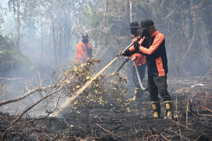 Gugur Saat Berjibaku Lawan Kobaran Api! 10 Pahlawan Karhutla dari Kalimantan hingga Bromo Berpulang