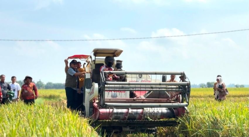 BULOG Pecahkan Rekor! Pengadaan Beras Nasional Tembus 4,1 Juta Ton, Sumut Kejar Target