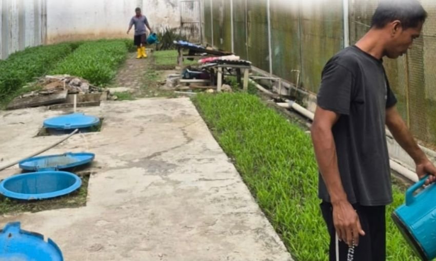 Maksimalkan Lahan Kosong, Kalapas Labuhan Ruku Sulap Area Beranggang Jadi Lahan Produktif