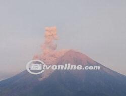 Gunung Semeru Kembali Erupsi,Tinggi Letusan Capai 1000 Meter Diatas Puncak