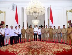 Papdesi Bahas Revisi UU Desa Bersama Presiden Jokowi