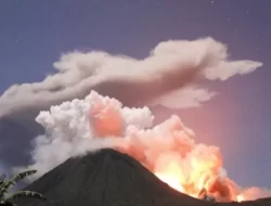 Gunung Lewotobi Laki-laki Kembali Erupsi, Kolom Abu Capai 700 Meter