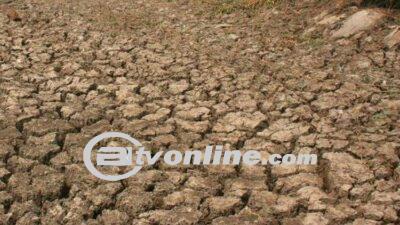 Seluas 1.500 Hektare Sawah di Batu Bara Sumut Alami Kekeringan