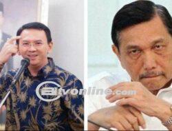 Luhut Balas Tudingan, Jokowi Tak Bisa Kerja!