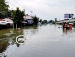 Banjir di Demak Mulai Surut, Kerugian di Perkirakan Capai Rp117 Miliar