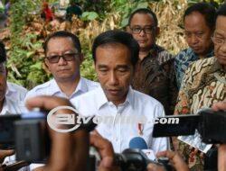 Presiden Jokowi Soroti Pembalakan Liar sebagai Penyebab Banjir