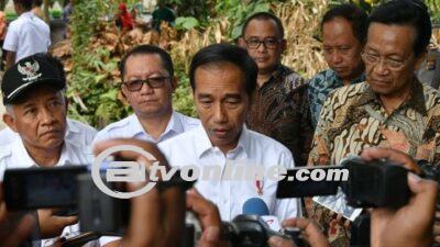 Presiden Jokowi Soroti Pembalakan Liar sebagai Penyebab Banjir