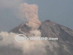 Pagi Ini! Gunung Semeru Erupsi Dua Kali , Ketinggian 300-600 Meter dari Puncak