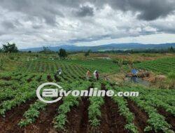 Luhut Binsar Pandjaitan Ajak China Masuk dalam Pengembangan Food Estate di Humbang Hasundutan