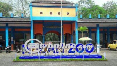 Medan Zoo Terus Menuai Sorotan, Komisi IV DPRD Medan Minta Penurunan Jabatan Direksi PUD Pembangunan