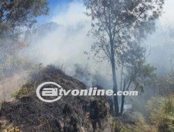 Karhutla Merebak di Gunung Bromo: Sudah 2 Hari Api Membara di Bukit Naga