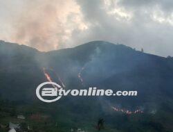 Bukit di Danau Toba Sumut Hangus Terbakar