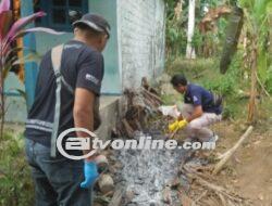 Diduga Alami Baby Blues, Ibu 3 Anak di Bali Tewas Bakar Diri Usai Melahirkan