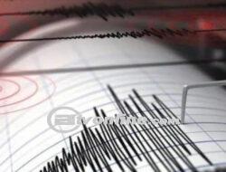 BMKG Umumkan Gempa M5,0 di Puncak Jaya, Papua Tengah: Tidak Berpotensi Tsunami