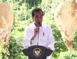 Jokowi Pamer Investasi Masuk IKN Rp56,2 Triliun