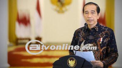 Presiden Jokowi  Persembahkan Penghargaan Agricola Medal dari FAO  untuk Petani Indonesia