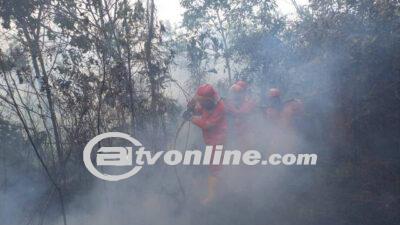 Kualitas Udara di Palembang Terancam Karena Kebakaran Hutan dan Lahan