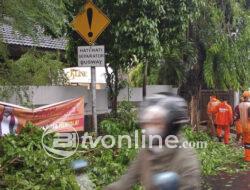 Hujan dan Angin Kencang Terjang Jakarta: Pohon Tumbang dan Banjir Melanda Beberapa Wilayah!