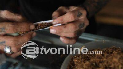 Fenomena Downtrading Rokok: Bea Cukai Waspadai Dampak terhadap Penerimaan Cukai Hasil Tembakau