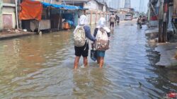 Banjir Rob Surut di Pluit Jakarta Utara, Aktivitas Warga Kembali Normal Setelah Pagi Hari