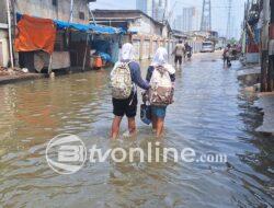 Banjir Rob Surut di Pluit Jakarta Utara, Aktivitas Warga Kembali Normal Setelah Pagi Hari