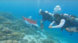 Penyelam Komunitas Konservasi Bersihkan Sampah Plastik di Laut Wakatobi untuk Lindungi Terumbu Karang