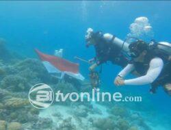 Penyelam Komunitas Konservasi Bersihkan Sampah Plastik di Laut Wakatobi untuk Lindungi Terumbu Karang