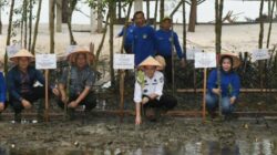 Pj Gubernur Sumut Agus Fatoni Tanam Pohon Mangrove yang Diberkati Paus Fransiskus di Pantai Romantis