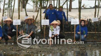 Pj Gubernur Sumut Agus Fatoni Tanam Pohon Mangrove yang Diberkati Paus Fransiskus di Pantai Romantis