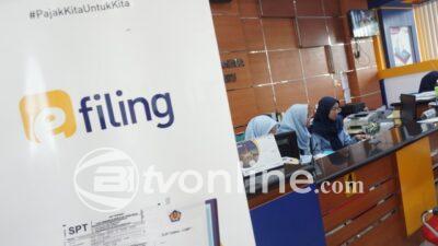 Penerapan PPN 12 Persen pada Barang Mewah Dinilai Tidak Signifikan untuk Penerimaan Negara