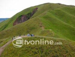 Bukit Holbung: Destinasi Wisata Menakjubkan di Sisi Danau Toba dengan Harga Tiket Terjangkau