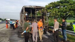 Bus Cititrans Terbakar di Tol Trans Jawa, Tidak Ada Korban Jiwa