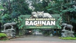 Taman Margasatwa Ragunan Targetkan 100.000 Pengunjung Selama Libur Panjang